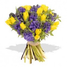 Great Yellow Tulips w/ Purple Flower